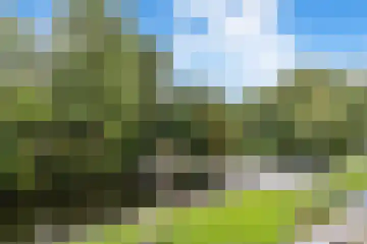 Postjeskade 151 1 Amsterdam thumbnail 16