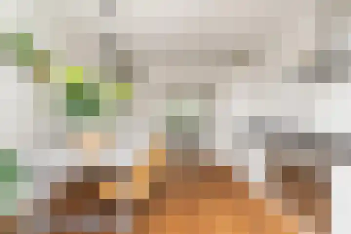 Postjeskade 151 1 Amsterdam thumbnail 26