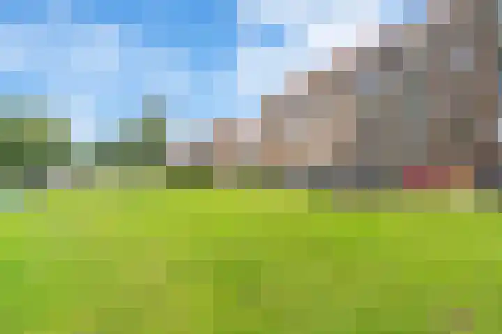 Postjeskade 151 1 Amsterdam thumbnail 32