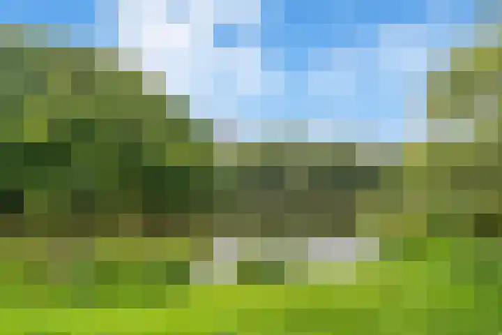 Postjeskade 151 1 Amsterdam thumbnail 37