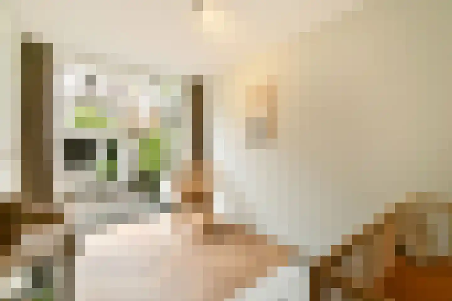 Postjeskade 155 H Amsterdam thumbnail 20