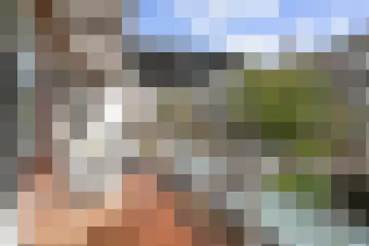 Postjeskade 163 3 Amsterdam thumbnail 22
