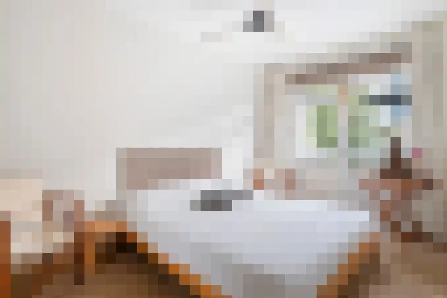 Postjeskade 163 H Amsterdam thumbnail 15