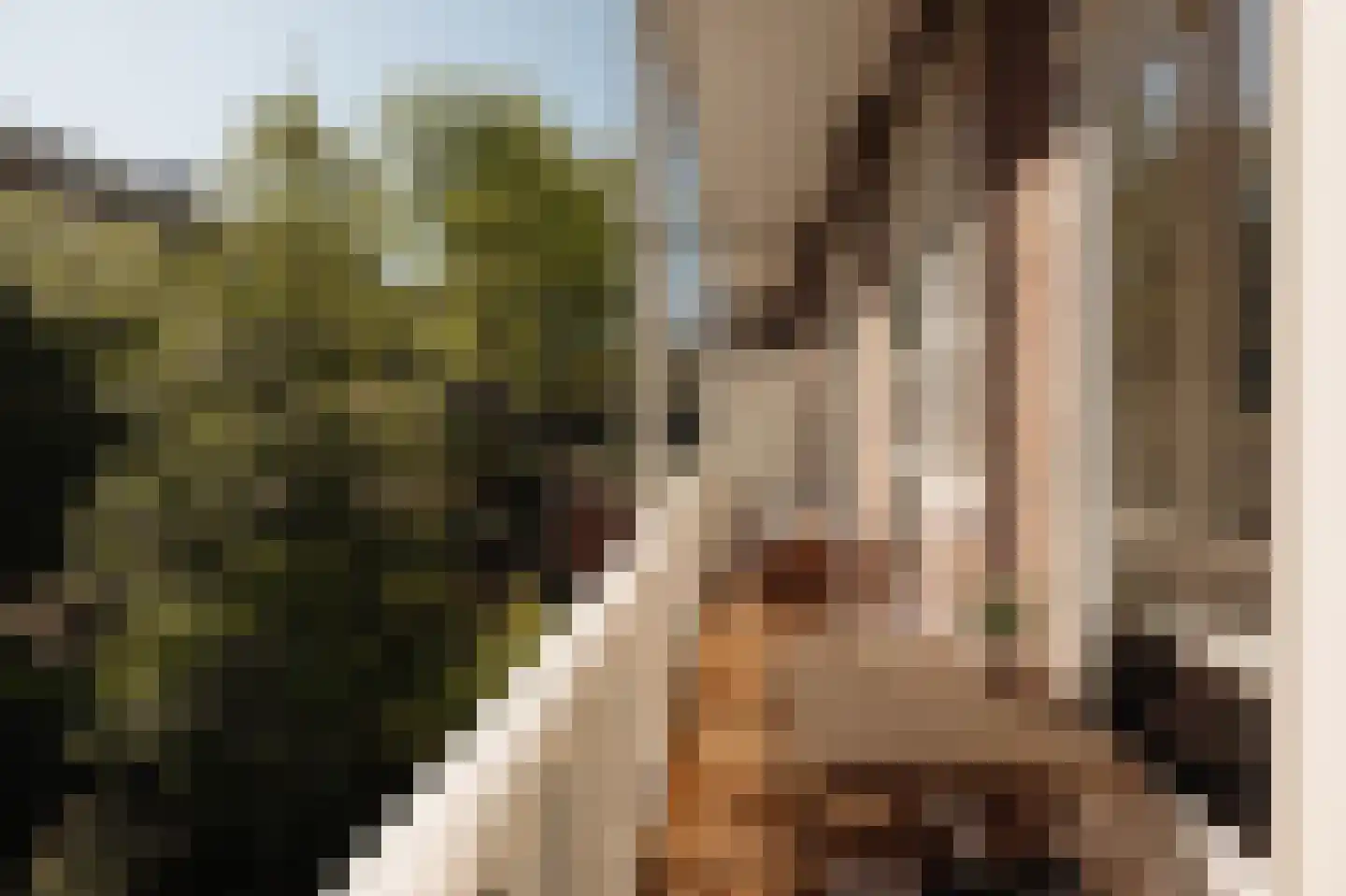 Postjeskade 167 2 Amsterdam thumbnail 17
