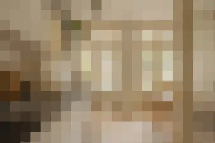 Postjeskade 171 1 Amsterdam thumbnail 12