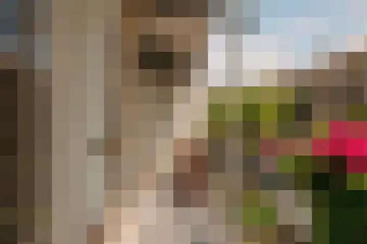 Postjeskade 171 1 Amsterdam thumbnail 15