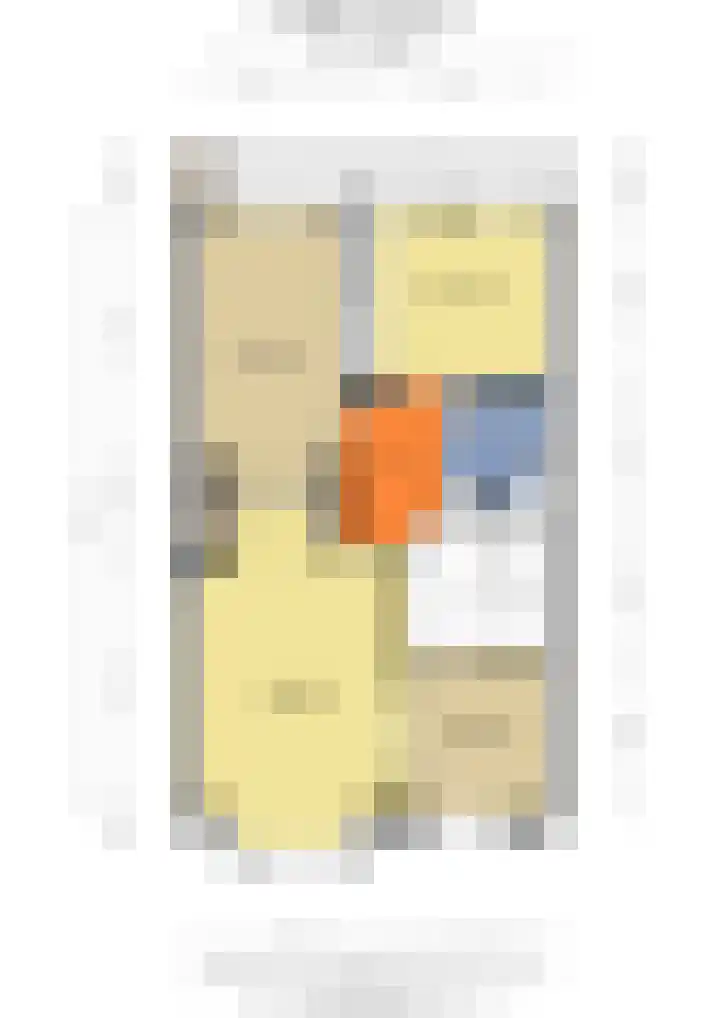 Postjeskade 171 1 Amsterdam thumbnail 23