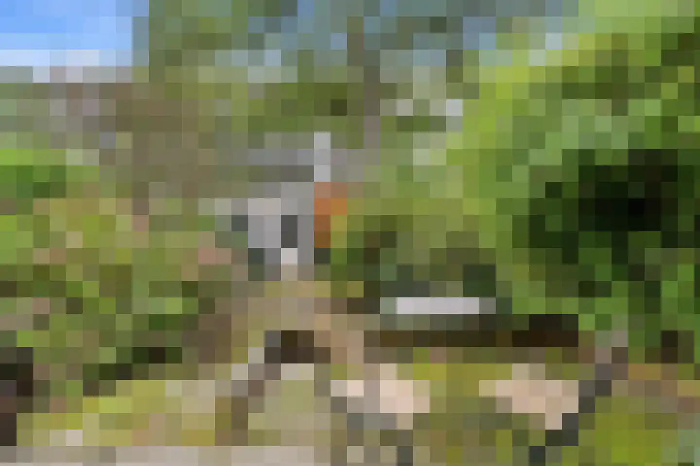 Postjeskade 177 H Amsterdam thumbnail 4