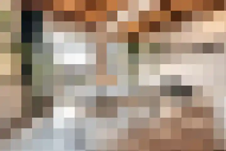 Postjeskade 207 2 Amsterdam thumbnail 12