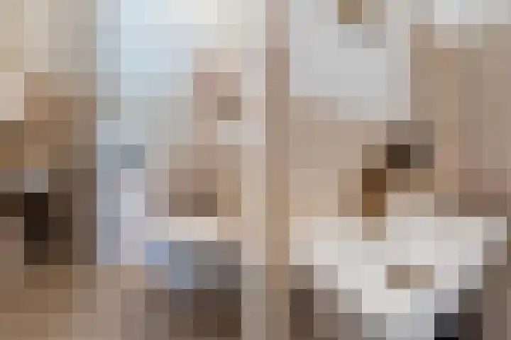 Postjeskade 207 2 Amsterdam thumbnail 17