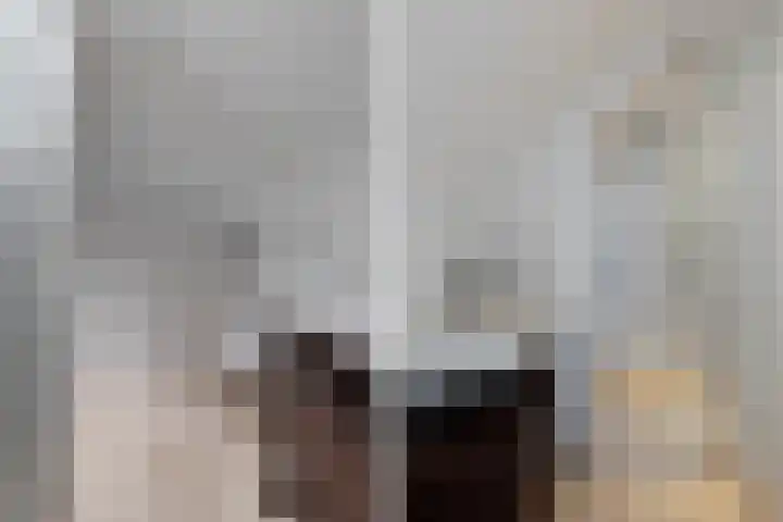 Postjeskade 207 2 Amsterdam thumbnail 38