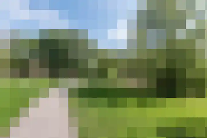Postjeskade 207 2 Amsterdam thumbnail 42