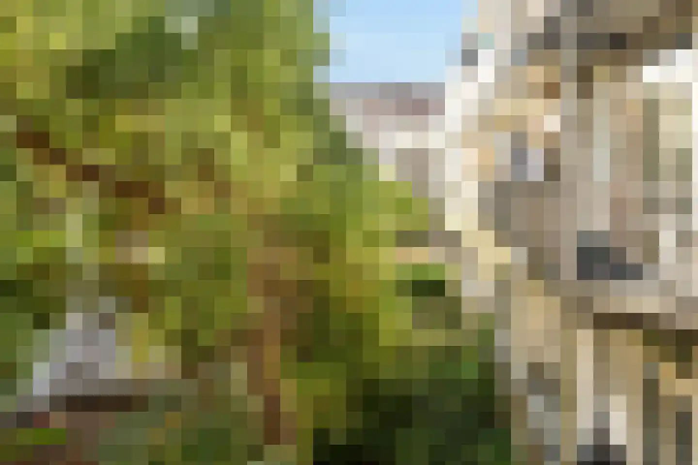 Postjeskade 217 2 Amsterdam thumbnail 14