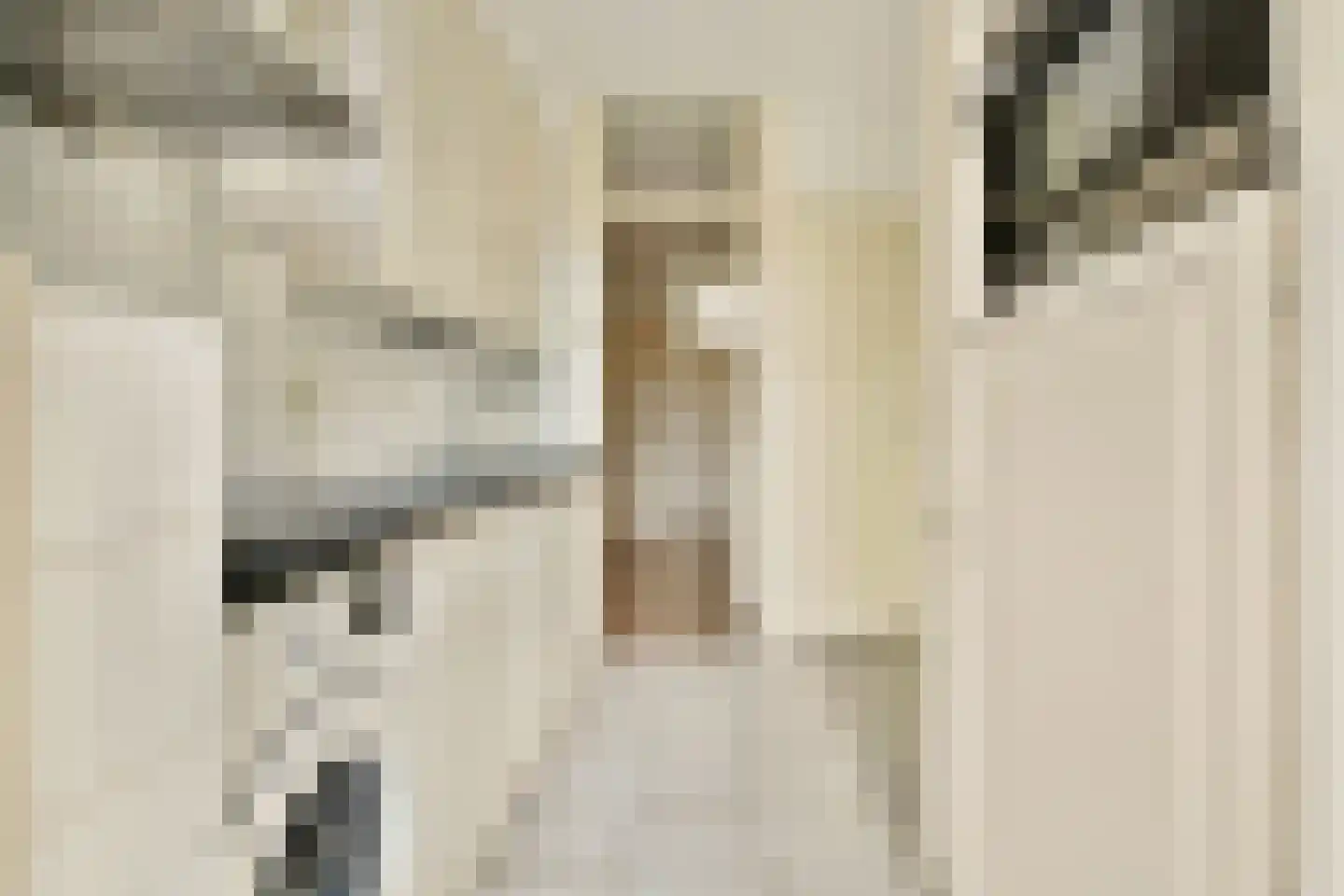 Postjeskade 217 2 Amsterdam thumbnail 17