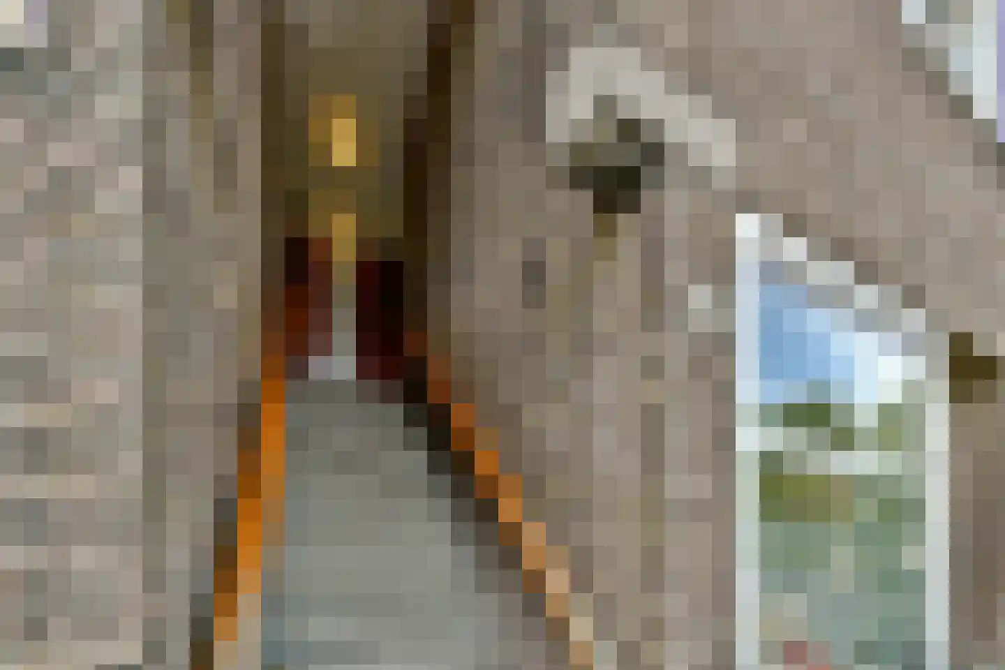 Postjeskade 217 2 Amsterdam thumbnail 20
