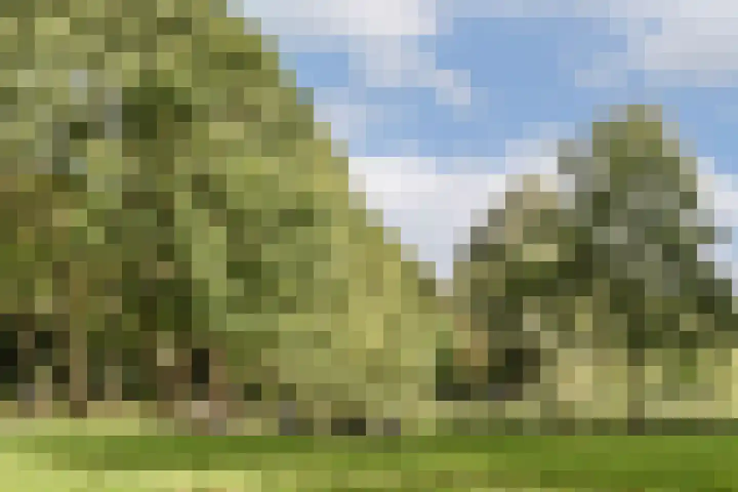 Postjeskade 217 2 Amsterdam thumbnail 25