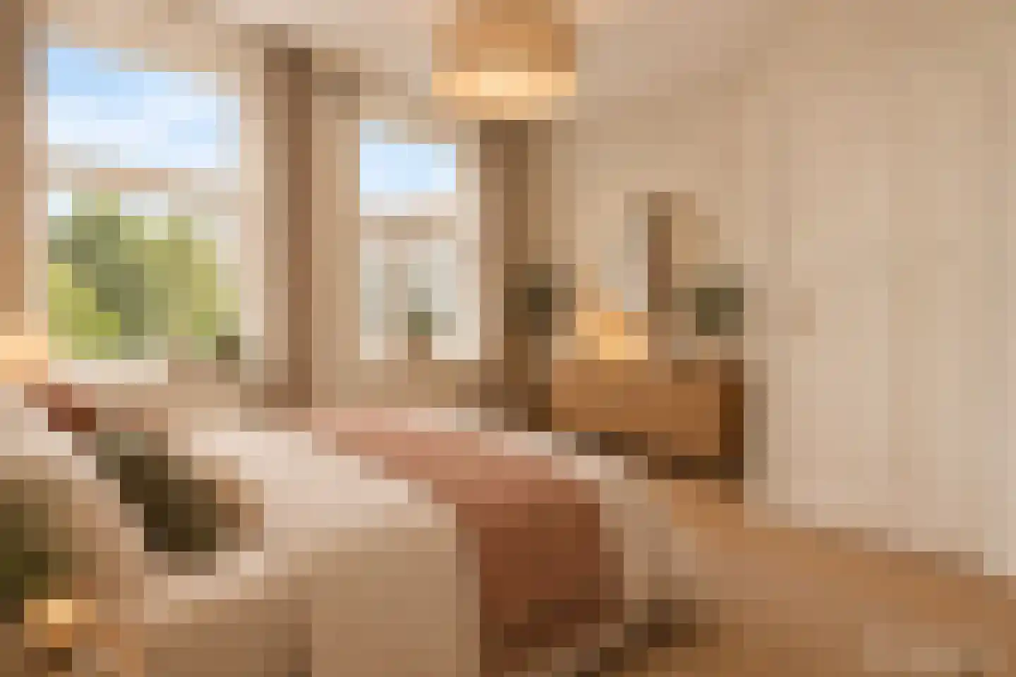 Postjeskade 217 2 Amsterdam thumbnail 4