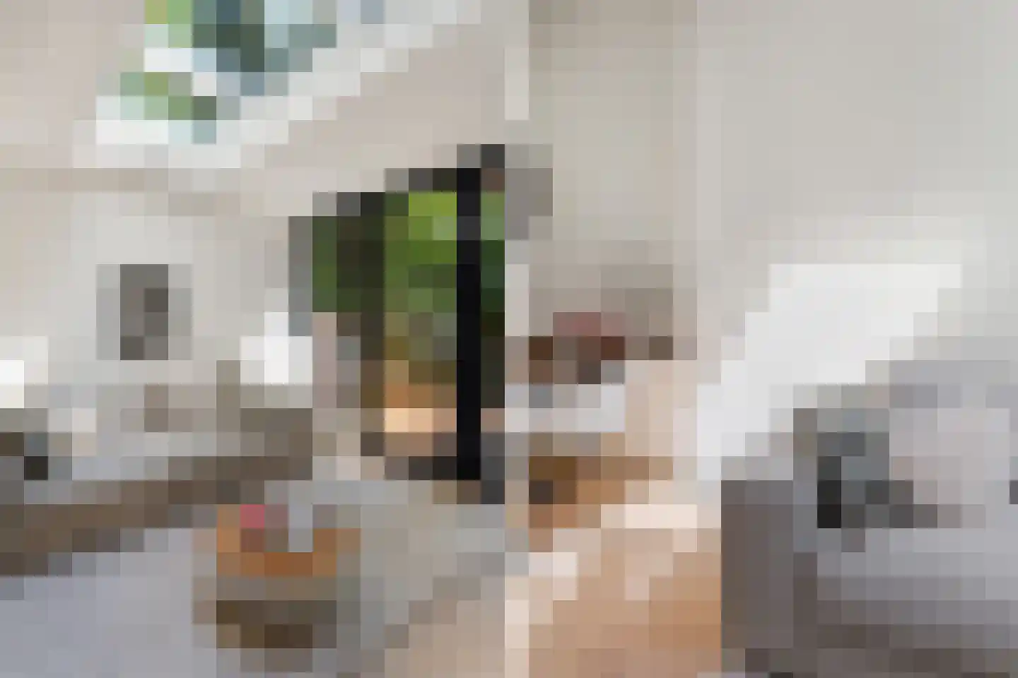 Postjeskade 33 2 Amsterdam thumbnail 14