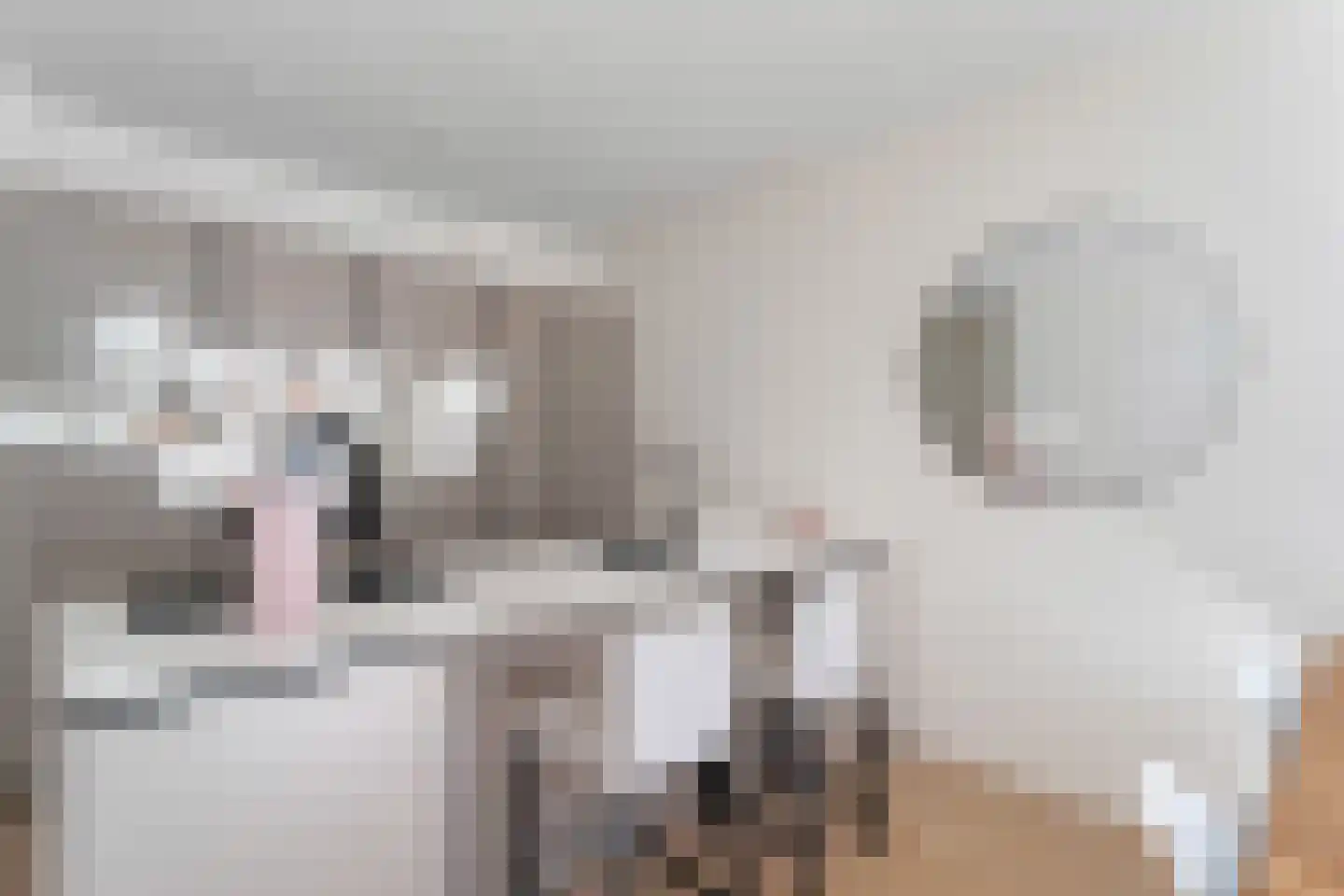 Postjeskade 33 2 Amsterdam thumbnail 22