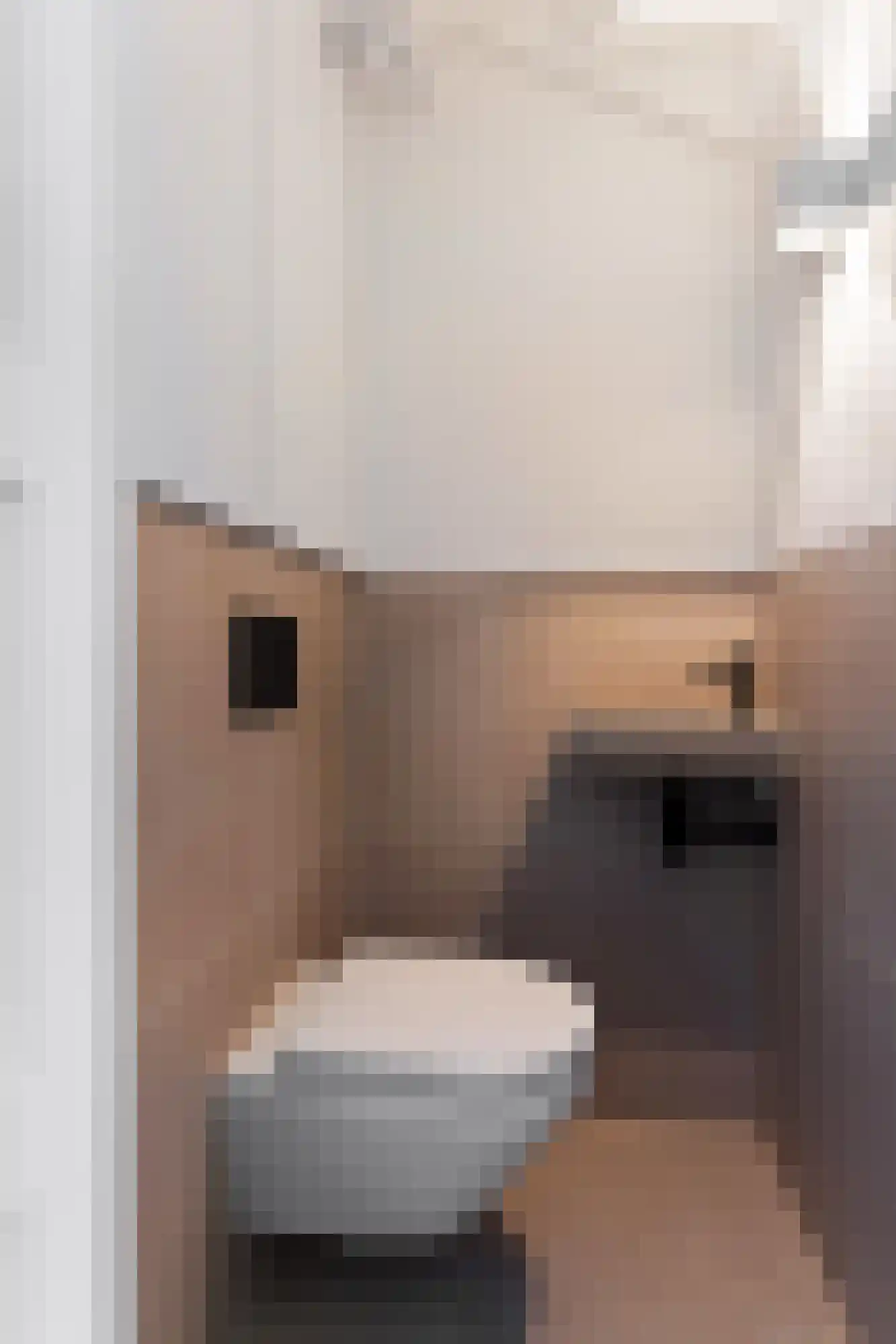 Postjeskade 33 2 Amsterdam thumbnail 40