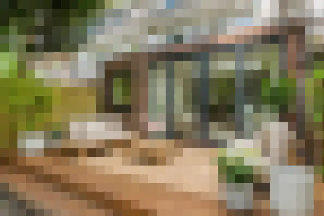 Postjeskade 33 2 Amsterdam thumbnail 5