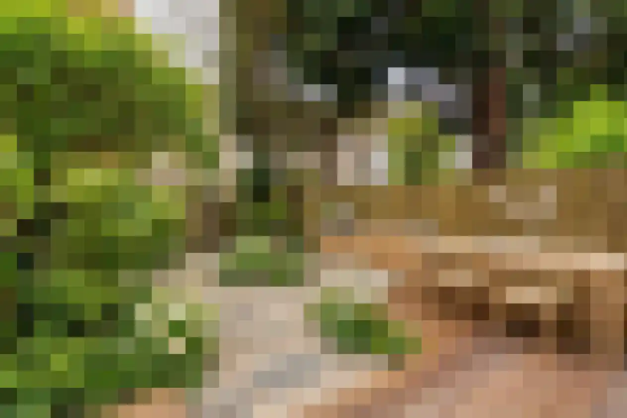 Postjeskade 33 3 Amsterdam thumbnail 11