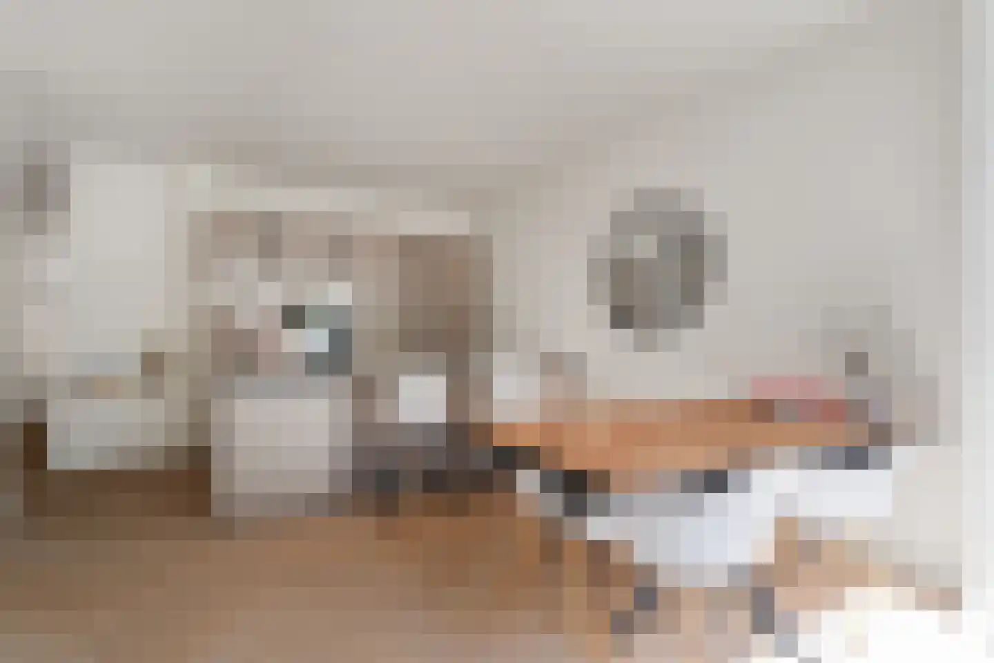 Postjeskade 33 3 Amsterdam thumbnail 23