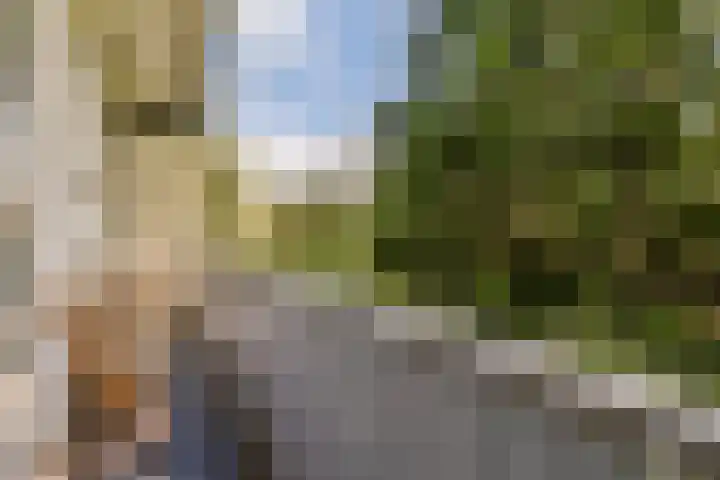 Postjeskade 35 1 Amsterdam thumbnail 10