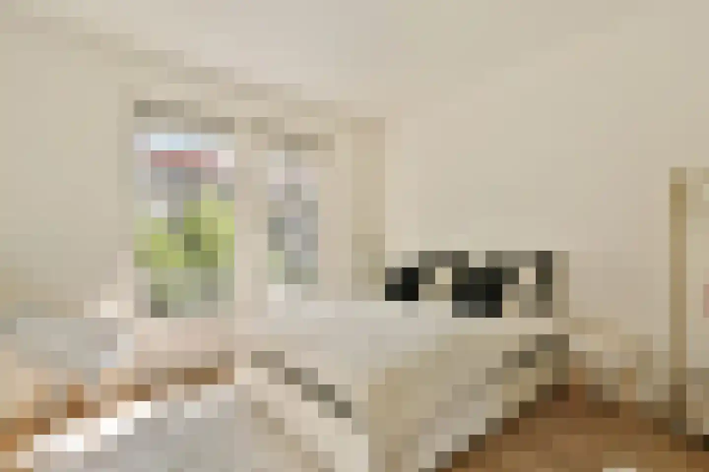 Postjeskade 35 1 Amsterdam thumbnail 11