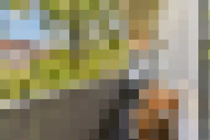 Postjeskade 35 1 Amsterdam thumbnail 11