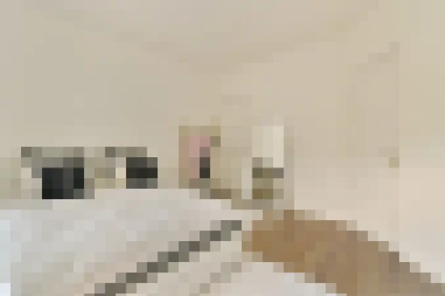 Postjeskade 35 1 Amsterdam thumbnail 12