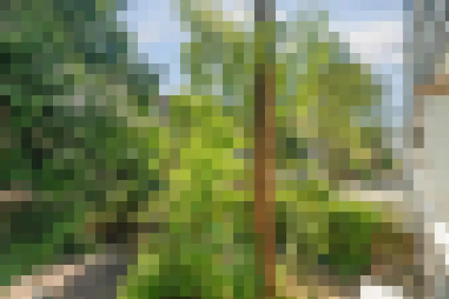 Postjeskade 35 1 Amsterdam thumbnail 19