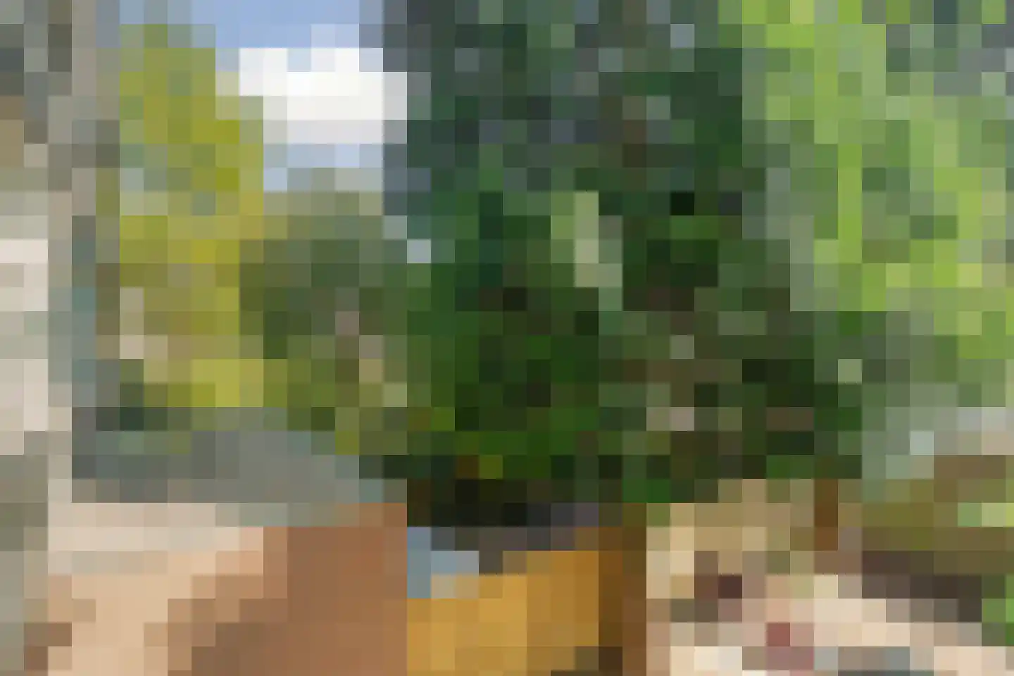 Postjeskade 35 1 Amsterdam thumbnail 20