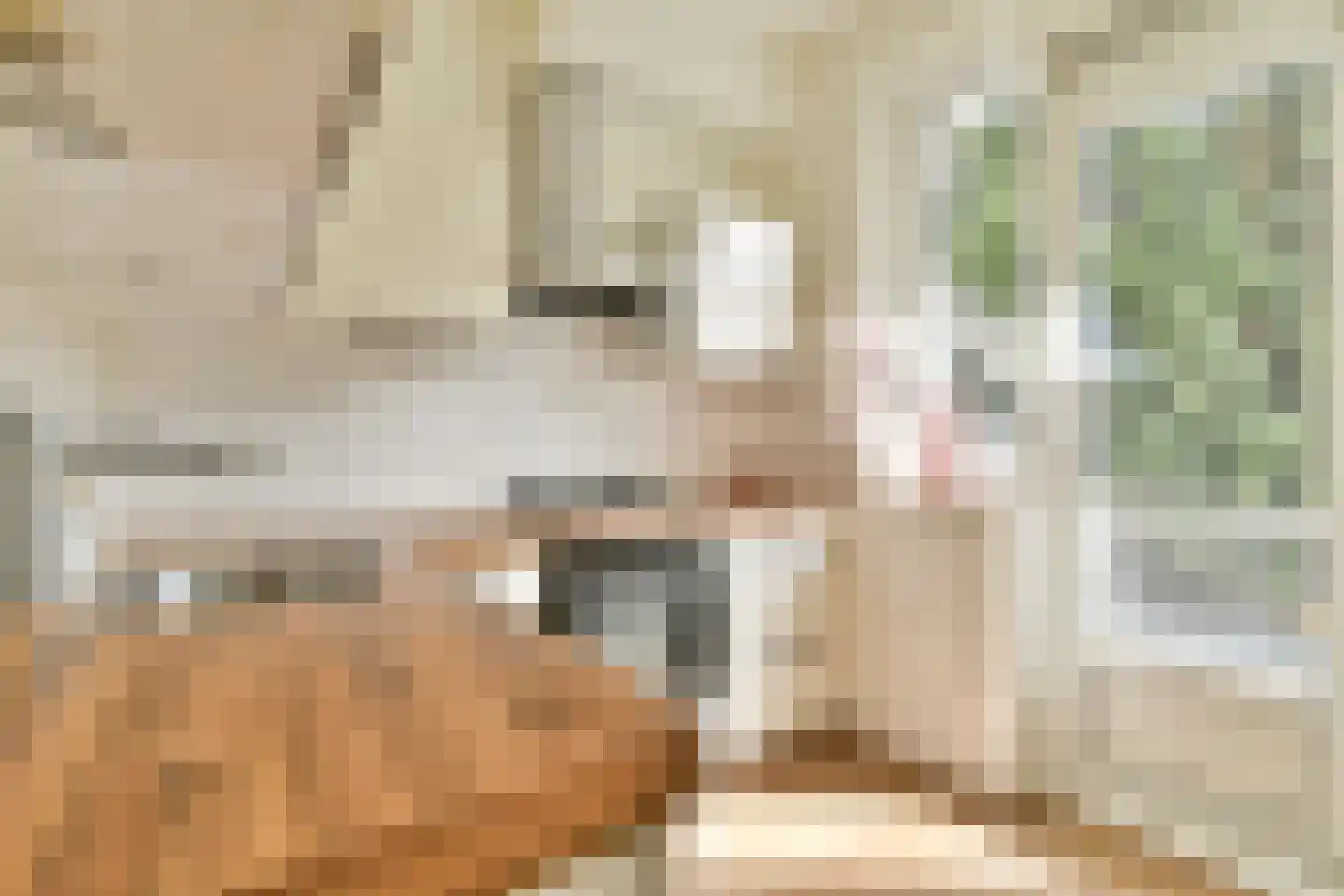 Postjeskade 35 1 Amsterdam thumbnail 7