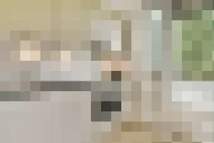 Postjeskade 35 1 Amsterdam thumbnail 9