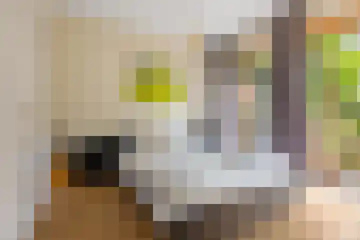 Postjeskade 37 3 Amsterdam thumbnail 11