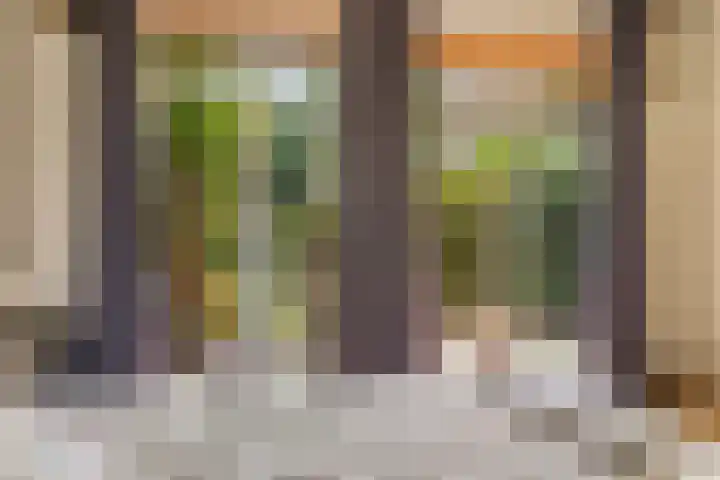 Postjeskade 37 3 Amsterdam thumbnail 12