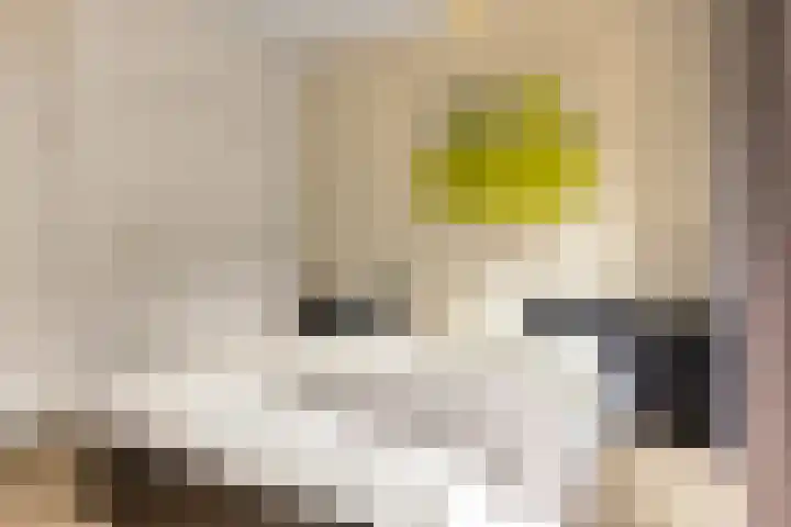 Postjeskade 37 3 Amsterdam thumbnail 14