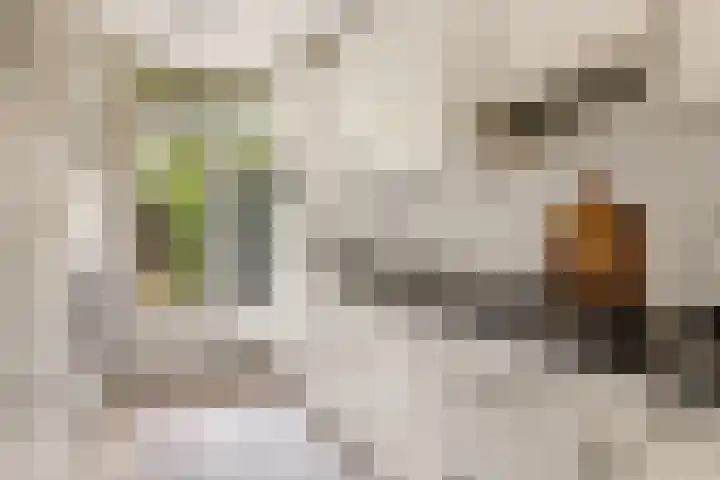 Postjeskade 37 3 Amsterdam thumbnail 16