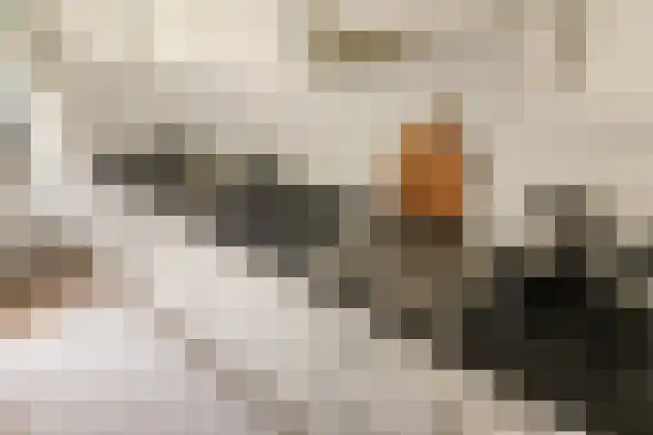 Postjeskade 37 3 Amsterdam thumbnail 17