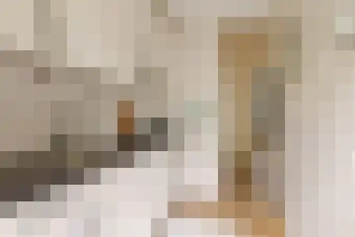 Postjeskade 37 3 Amsterdam thumbnail 18