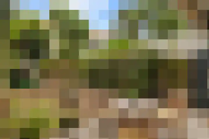 Postjeskade 37 3 Amsterdam thumbnail 19