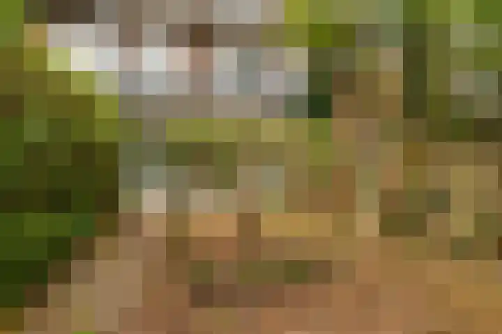 Postjeskade 37 3 Amsterdam thumbnail 21