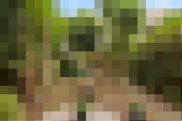 Postjeskade 37 3 Amsterdam thumbnail 25