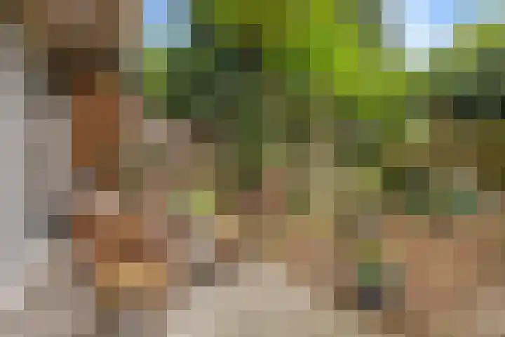Postjeskade 37 3 Amsterdam thumbnail 26
