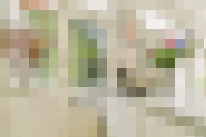 Postjeskade 43 3 Amsterdam thumbnail 10