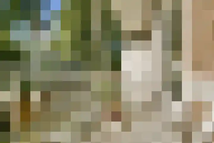 Postjeskade 43 3 Amsterdam thumbnail 13