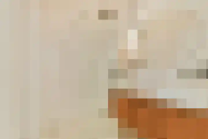 Postjeskade 43 3 Amsterdam thumbnail 22