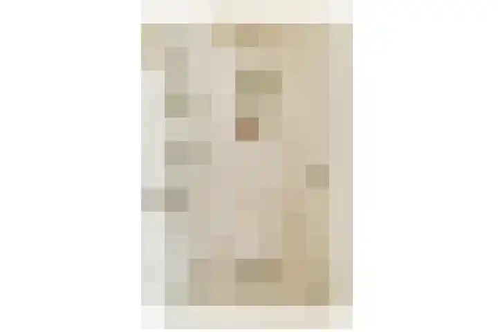 Postjeskade 43 3 Amsterdam thumbnail 24