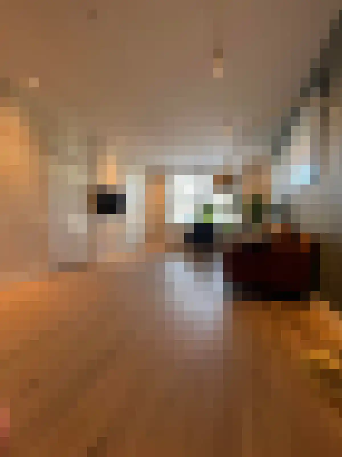Postjeskade 47 Amsterdam thumbnail 5